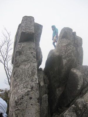 週末　～登山、桜、映画NINE、飲み～