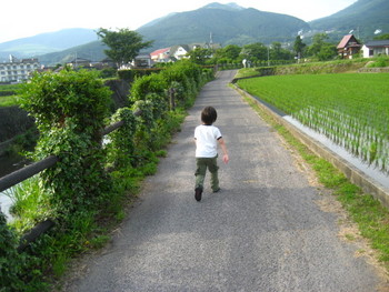 *+今の季節。。特に好きです+*