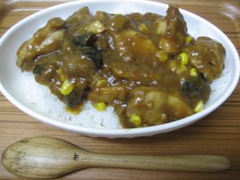 *+茄子チキンカレー+*
