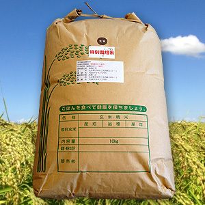 宗像農園の特別栽培米１０ｋｇヒノヒカリ 白米