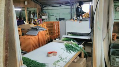 大分県中津市赤迫の弦本農園 大分県中津市赤迫の弦本農園