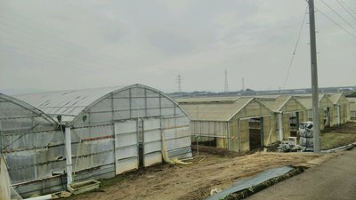 大分県中津市赤迫の弦本農園 大分県中津市赤迫の弦本農園