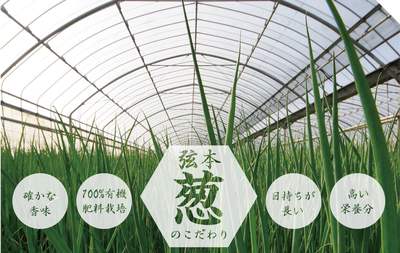 大分県中津市赤迫の弦本農園 大分県中津市赤迫の弦本農園