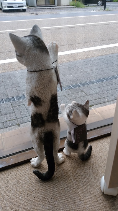 暑いけど外で遊びたいな~(=‐ω‐=) 暑いけど外で遊びたいな~(=‐ω‐=)