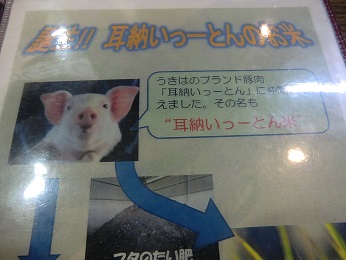 浮羽の道の駅でランチ♪