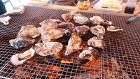 杵築のみかん祭り♪