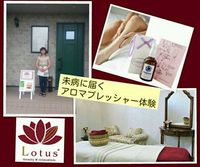 12.6ロータス1