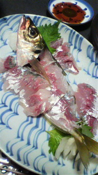 どーん