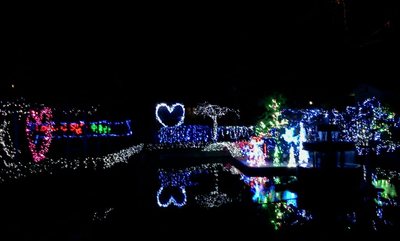 行列のできる中津城公園のイルミネーション