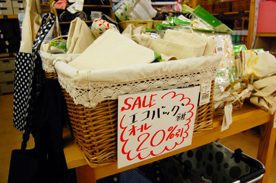 「今年の夏に」こんなエコはいかがでしょうか？