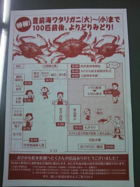 必見！さかな情報
