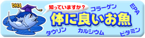 必見！さかな情報