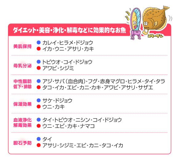 必見！さかな情報