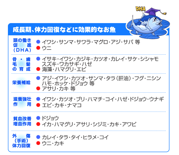 必見！さかな情報