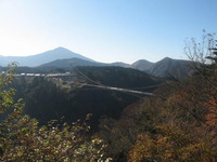 揺れて揺れて・・・・
