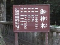念願の旅 1日目