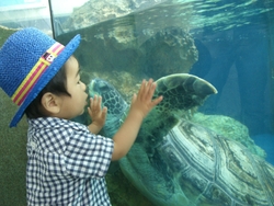 初☆水族館へ