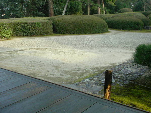 お茶しました