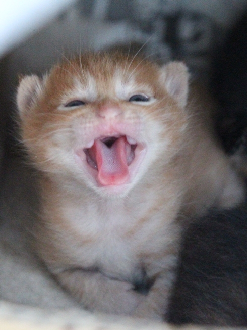 はじめまして。