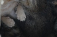 うらめしや～