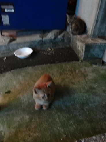 アートのためにがんばらナイト!(BEPPU)