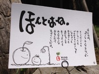 ほんとうのこと。『自分ってダメな奴かもって想ってるあなたへ』