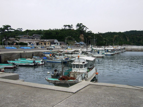大海地区の漁港