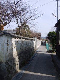 2010年01月21日