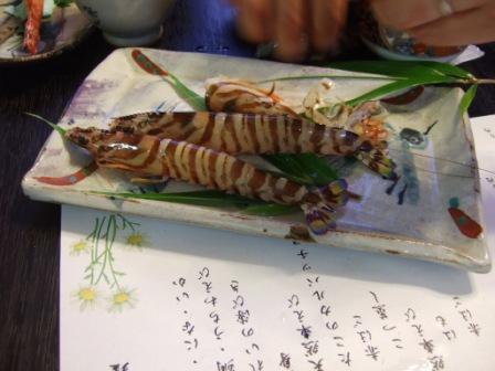 姫島車エビ、、今が旬!!