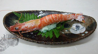2009年10月27日