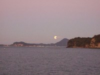 2009年11月08日