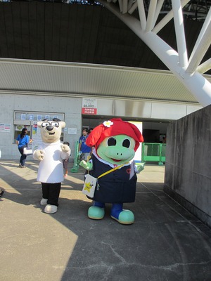 お仕事レポート ｉｎ カマタマーレ讃岐