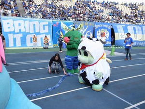 お仕事レポート ｉｎ ロアッソ熊本戦