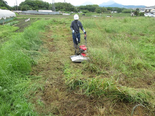 大分メリー商会のブログです。:自走、乗用、ロボット草刈機！広範囲を短時間で草刈り！！