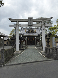 霜凝神社の桜