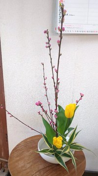 今月の生け花教室♪