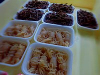 煮物。