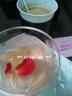 菊家のプティローズの写真を撮りました。
