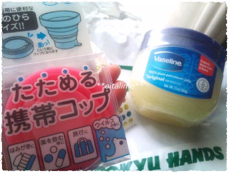 TOKYU HANDS TRUCK MARKETで買った物の画像