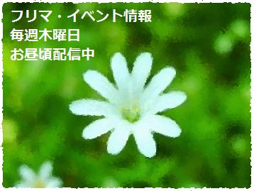 5月22日フリマ・イベント情報バナー