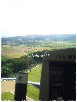 壱岐市立一支国博物館の展望台の写真