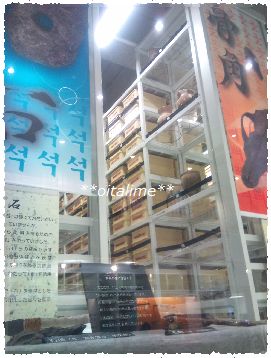 一支国博物館の収蔵庫の写真