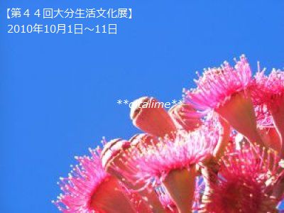 【第44回大分生活文化展】イメージ画像