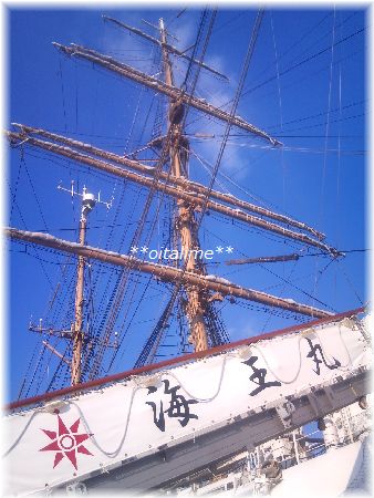 海王丸近くからの画像