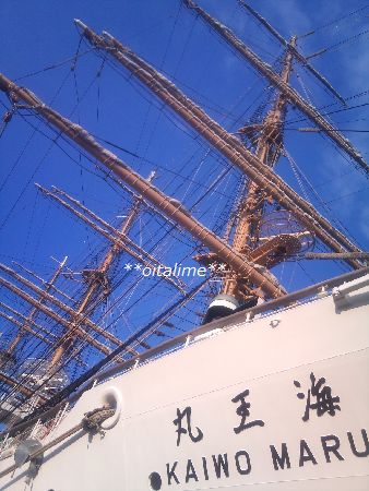 KAIWO MARUの確認画像