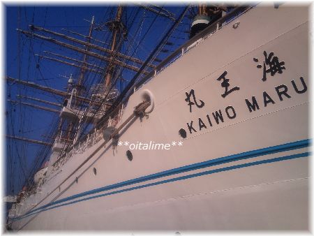 海王丸船首から後方を撮影した画像