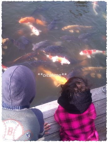志高湖のコイを眺める子どもたちの画像