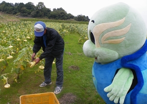 お仕事レポート in 続・ひまわりプロジェクト