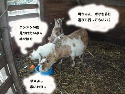 ある雪の日に・・・