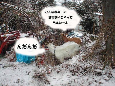 ある雪の日に・・・